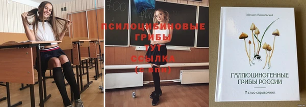 a pvp Абдулино