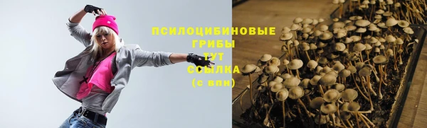 a pvp Абдулино