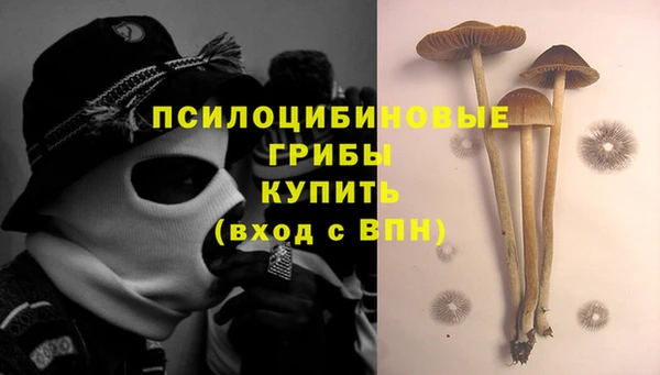 мдма Медвежьегорск