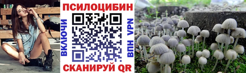 mega зеркало  Сертолово  Галлюциногенные грибы мицелий 