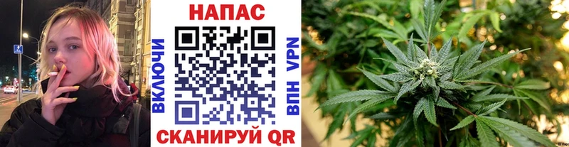 даркнет сайт  Сертолово  Каннабис SATIVA & INDICA 
